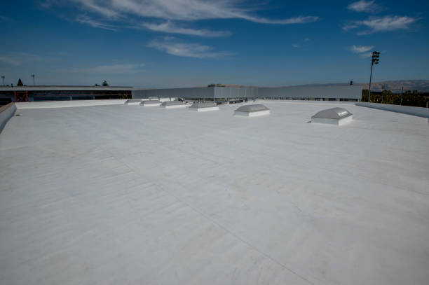 Best Rubber Roofing (EPDM, TPO)  in Warren, MI