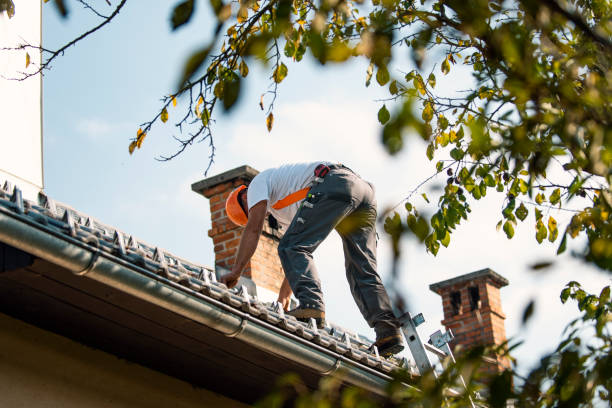 Best Emergency Roof Repair Services  in Warren, MI