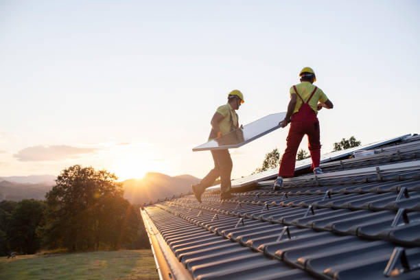 Best Storm Damage Roof Repair  in Warren, MI