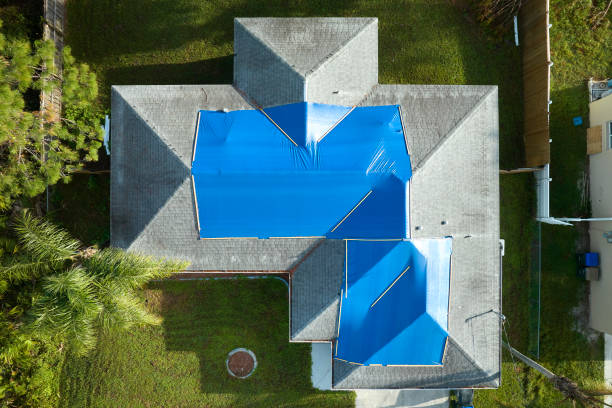 Best Asphalt Shingles Roofing  in Warren, MI