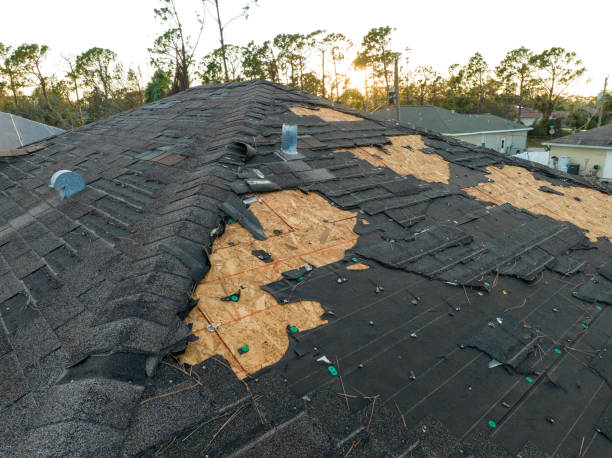 Best Slate Roofing  in Warren, MI