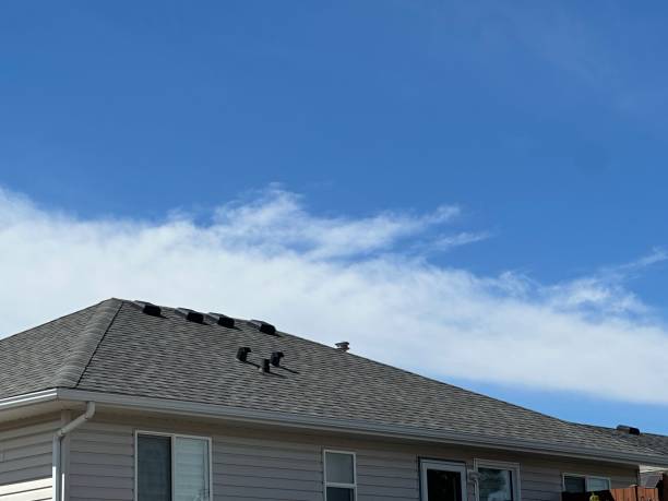 Best Roof Leak Repair  in Warren, MI